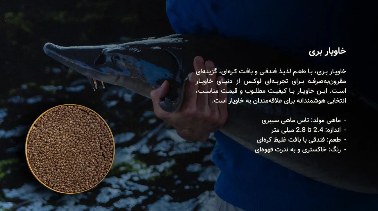 خاویار بری - سایروس خاویار