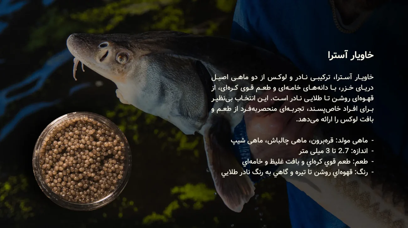 خاویار استرا - سایروس خاویار