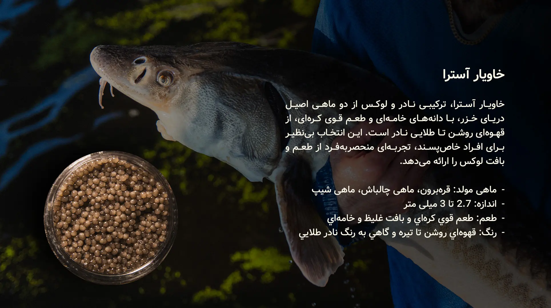 خاویار استرا - سایروس خاویار