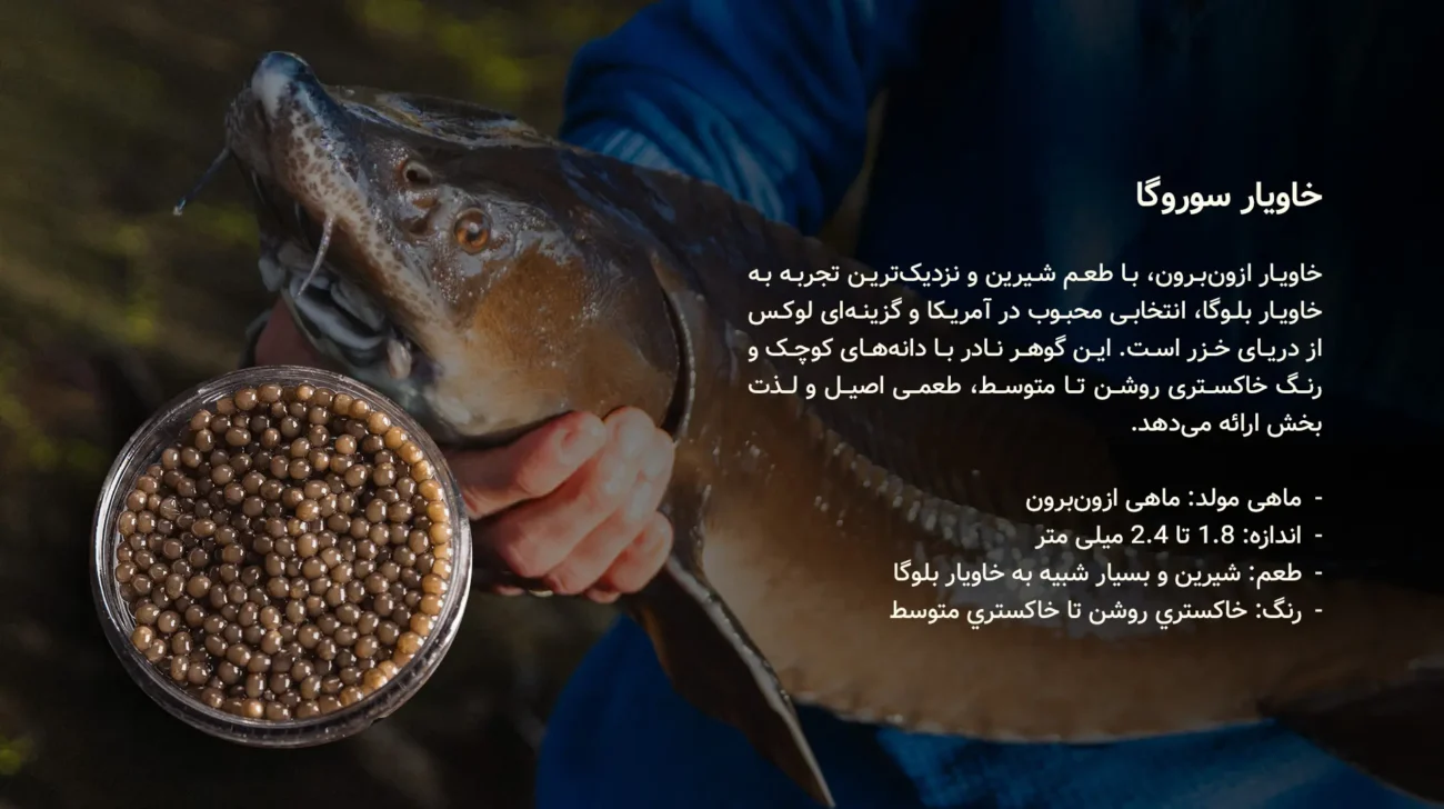 خاویار سوروگا - سایروس خاویار