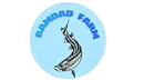 bamdad